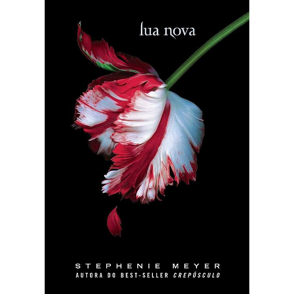 Livro Lua Nova - Saga crepúsculo(Livro 2) | Stephenie Meyer - Novo