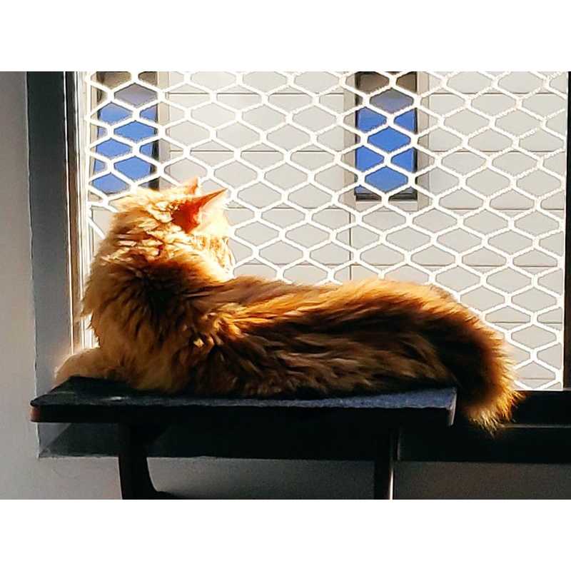 prateleira de janela para gato 60cm x30cm