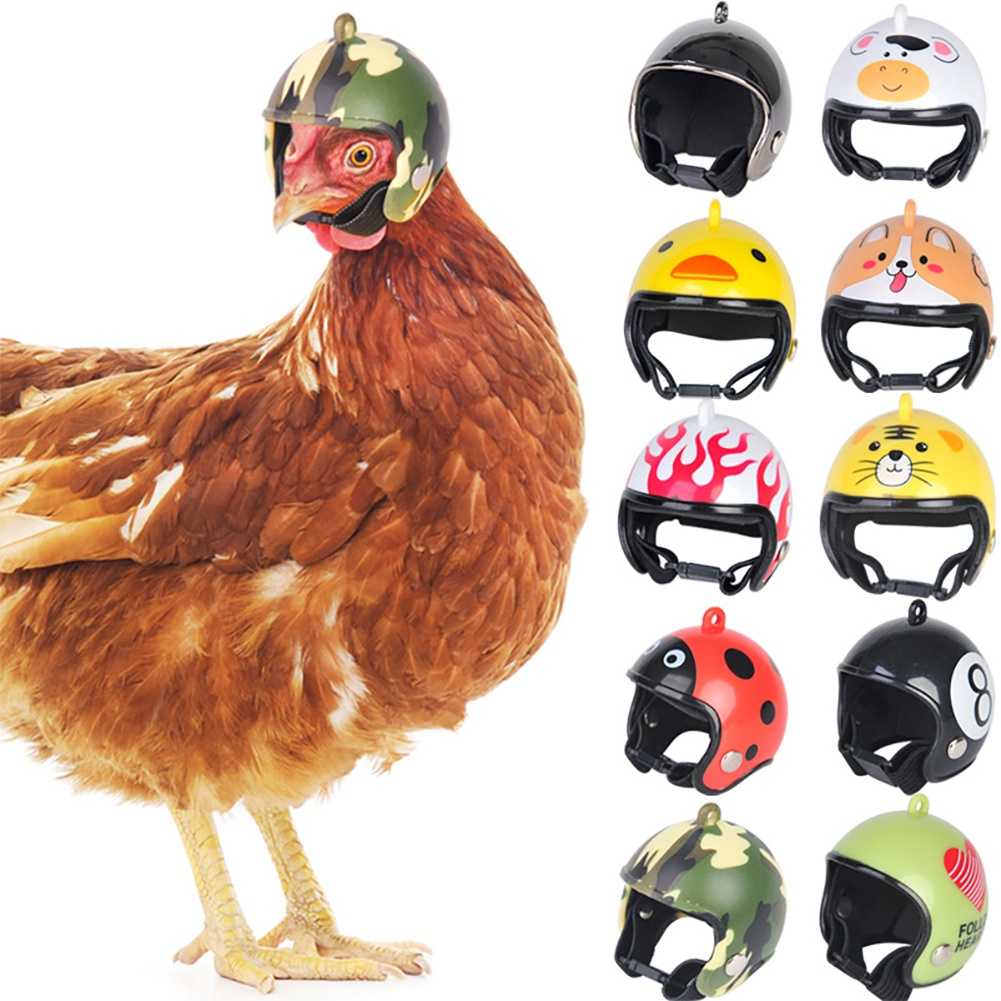 Forevergo Funny Chicken Helmet Capacete De Galinha Pequeno Pássaro Codorniz Chapéu De Proteção Suprimentos