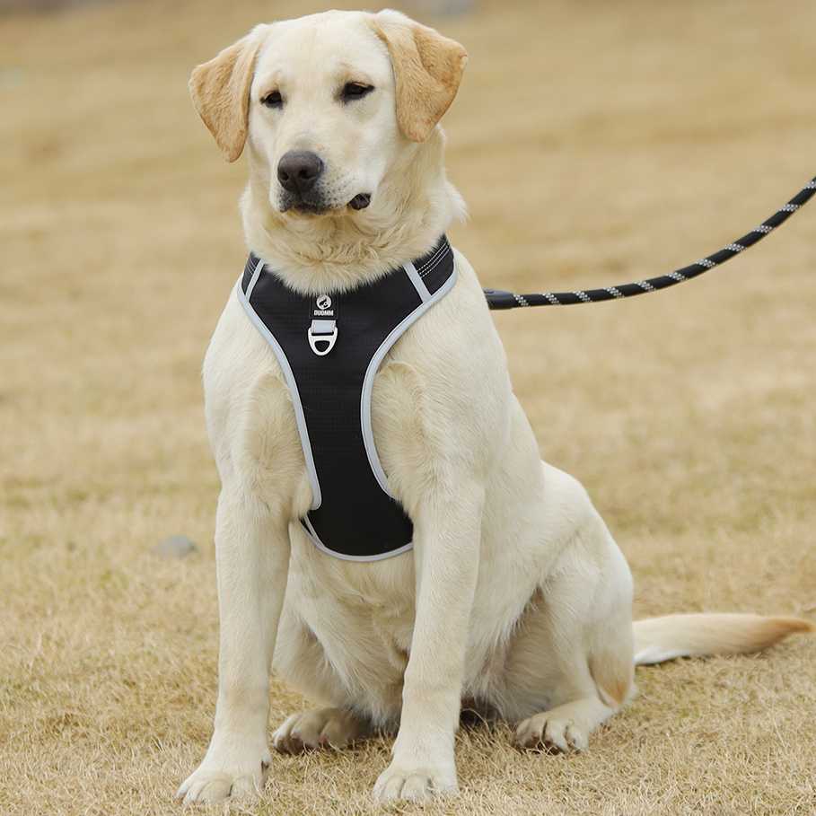 Peitoral Coleira Resistente Para Pet Cão Grande e Médio Porte com Regulagem Colete Reforçado para Passeio Cachorro