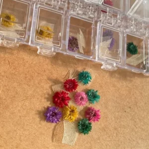 Kit com 12 Flor seca com tela para nail art