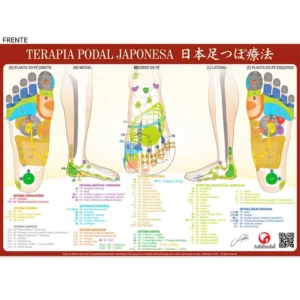 Mapa Reflexologia Podal Japonesa Reflexoterapia Terapia Podal Tamanho A4