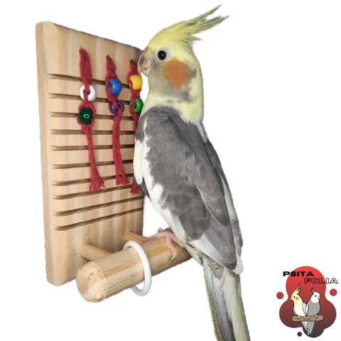 Reco Reco Brinquedo Antiestresse para Calopsita Periquitos e outras Aves
