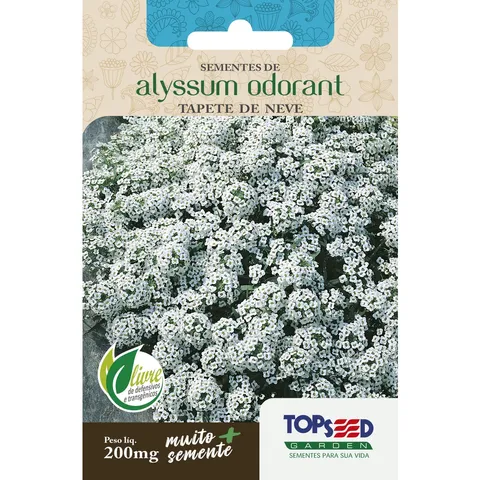 720 Sementes de Flores Alyssum Odorant Tapete de Neve Jardins