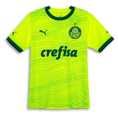 Camisa Camiseta de Time Futebol Palmeiras 2023 Preço Ótimo