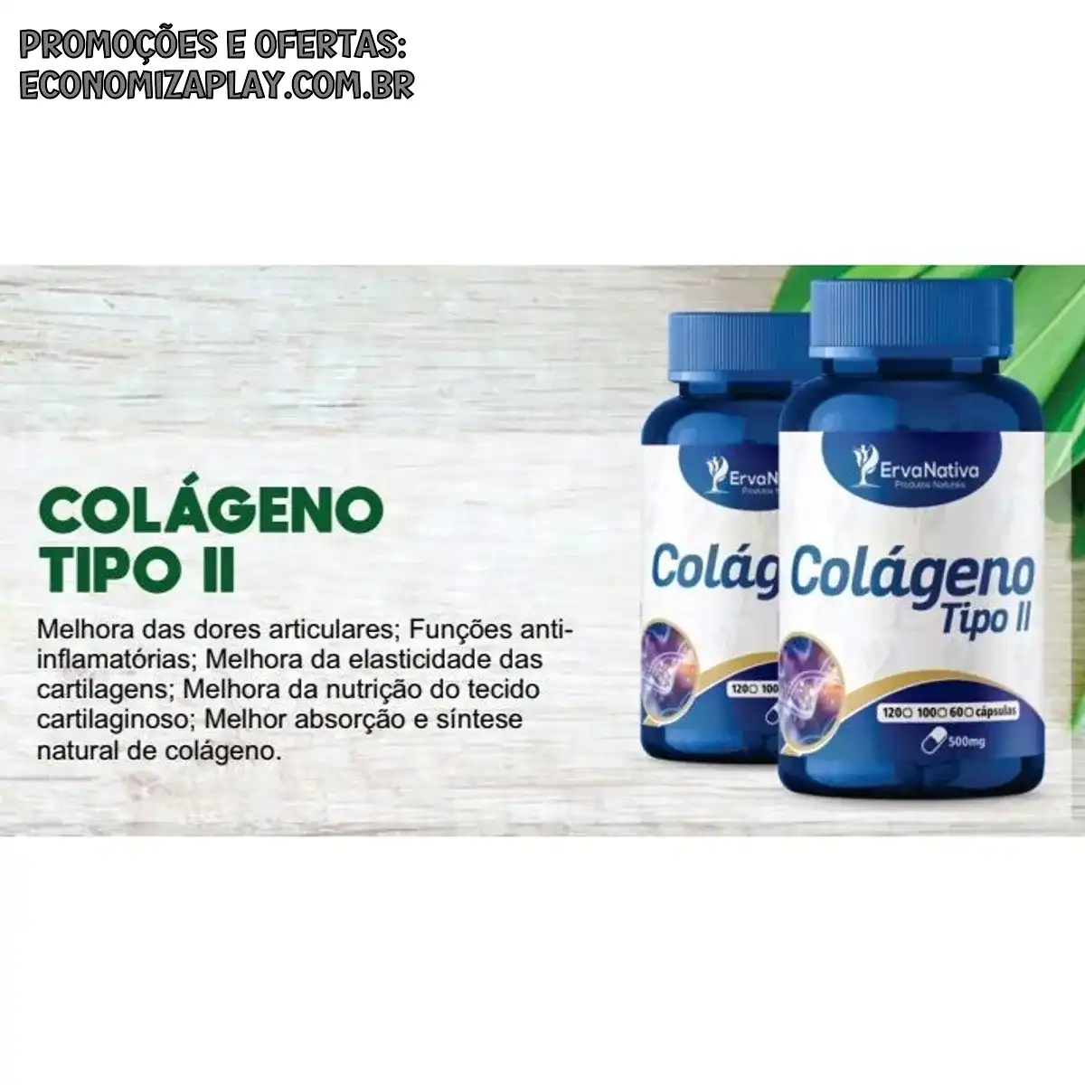Colágeno Tipo 2 500 mg 100 cápsulas Erva Nativa