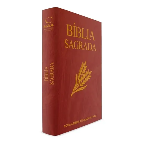 Bíblia Sagrada Pão de Judá Letra gigante Brochura NAA