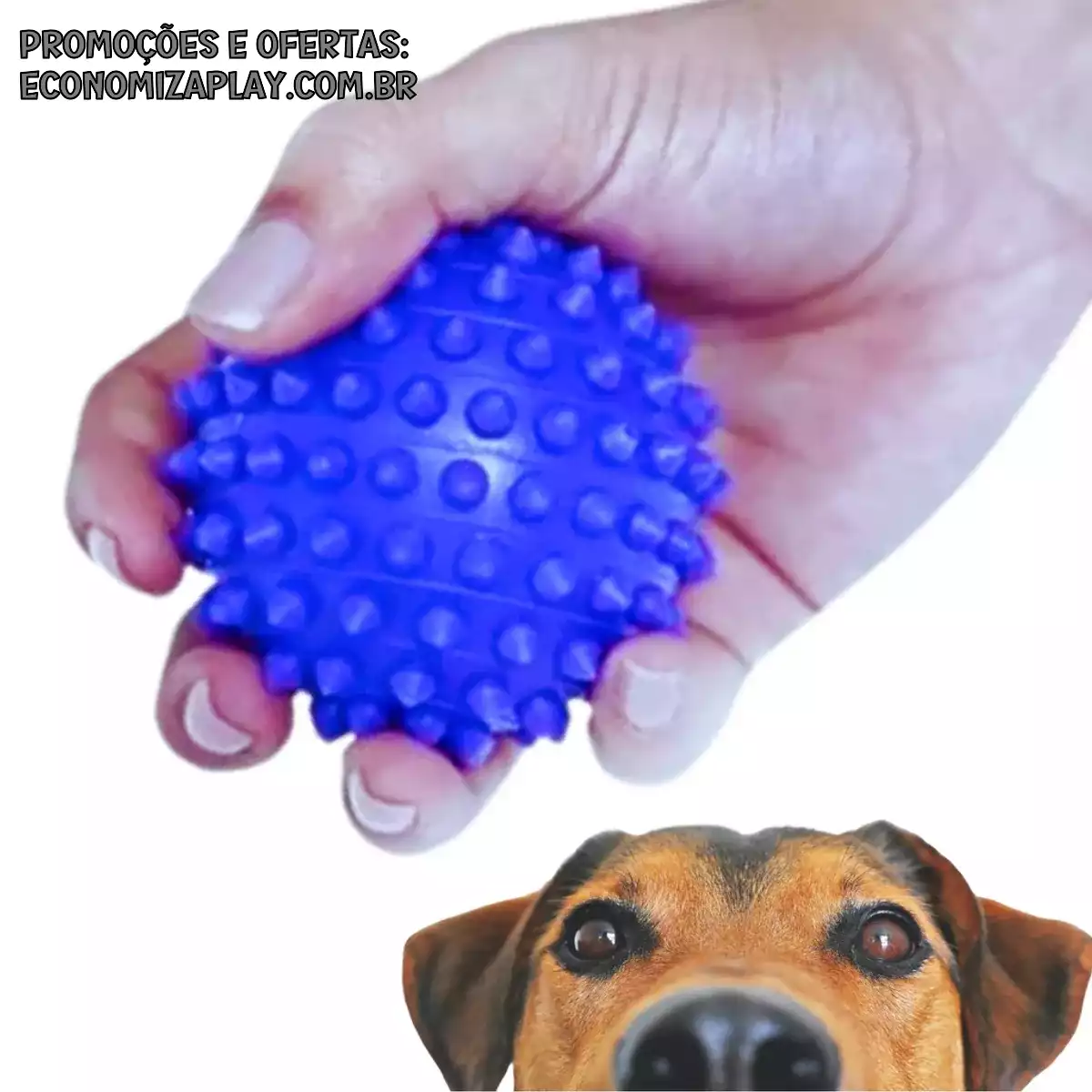 Brinquedo Bola Pet Cravo de Borracha para Cães e Gatos